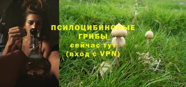 mdpv Алексеевка