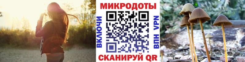 Галлюциногенные грибы мухоморы  Бабушкин 